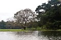 20101203_133639 D3